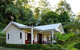 Nightcap Ridge - Byron Bay Hinterland